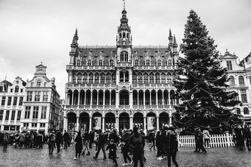 Bruxelles, sa grand place
