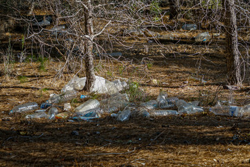Photo complaint. Crowd of plastic bottles in the pine forest of Coto Cuadros. Murcia, Spain