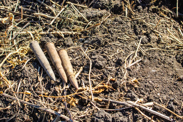 found cartridges and bullets due to the past war with the help of a metal detector, the front and back background is blurred