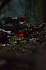 Glowing embers in hot red color. The hot embers of burning wood log fire. Firewood burning on grill. Texture bonfire embers. Gray and red embers abstract background.