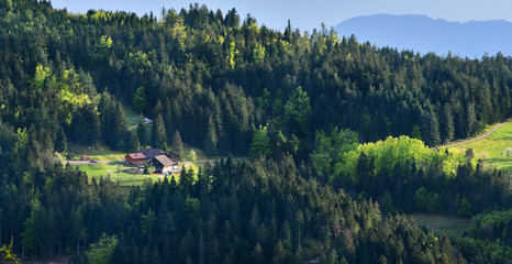 Panoramic picturesque landscape of a European secluded country house in a forest of Schwarzwald, Germany © pridannikov