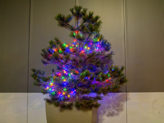 colorful illimunated christmas tree