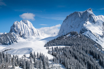 swiss alps during winter with mountains and trees covered with snow