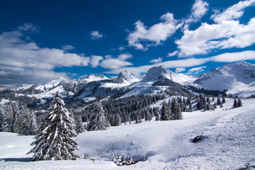 Fototapeta na wymiar swiss alps during winter with mountains and trees covered with snow