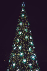 christmas tree