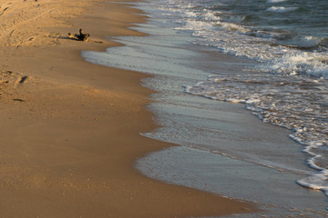 beach