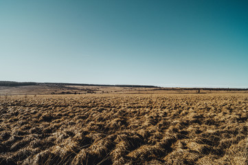 Hautes-Fagnes, Janvier