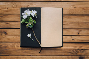 Black and beige notebook with a sprig of a blossoming apple tree. The concept of creativity, ideas, floristry and writing. Wooden background, vintage paper, mock up.