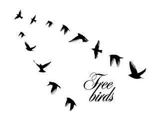 A flock of flying birds. A school of birds flying south. Vector illustration