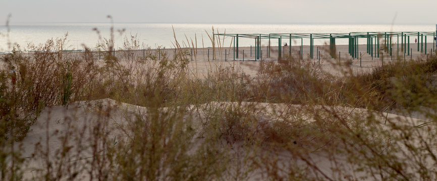 beach