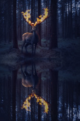 Hirsch mit Feuer Geweih im dunklen Wald