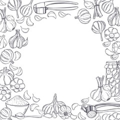 Fototapeta na wymiar Vector background with hand drawn garlic. Sketch illustration