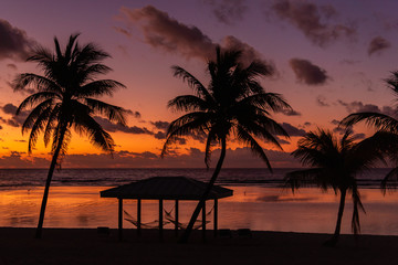 Orange sunset over ocean with palm trees and hammocks