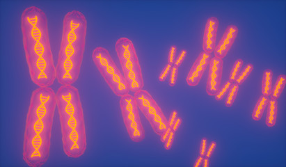 transparent x chromosomes with glowing dna helix  3d Illustration