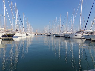 yachts in the harbor