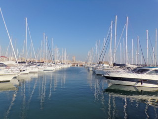 yachts in the harbor