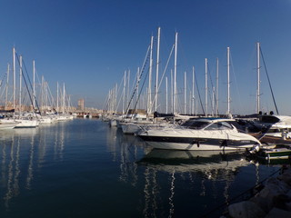 yachts in marina