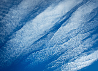 abstract background algae in the sky