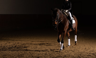 Horse dressage with rider in heavy class dress with curb in partial shot. Photographed with flash...