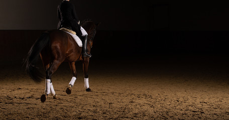 Horse dressage with rider in the dress of the heavy class in a trot with a canister in partial...