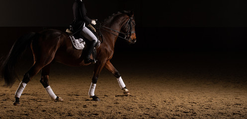 Horse dressage with rider in the dress of the heavy class in a trot with curb part. Photographed...