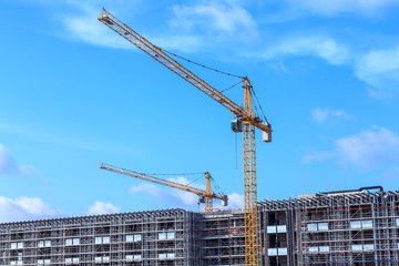 Crains on construction site of building