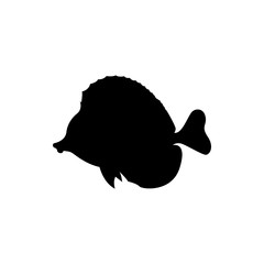 vector illustrations of tropical fish