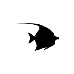 vector illustrations of tropical fish