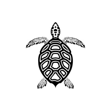 vector illustration of sea turtle