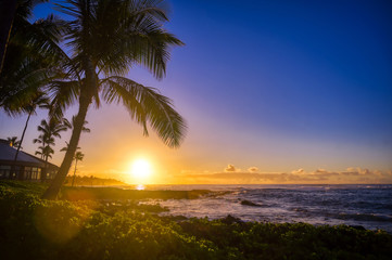 Fototapeta premium The sunrise over the beach in Kauai, Hawaii