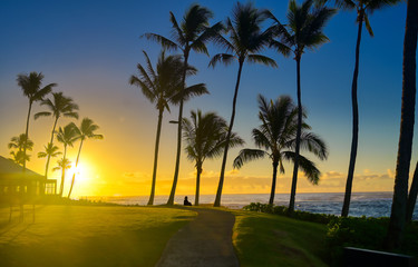 Fototapeta na wymiar A silhouette watches the sunrise on Kauai, Hawaii.