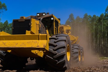 Logging Equipment - Timber Harvesting