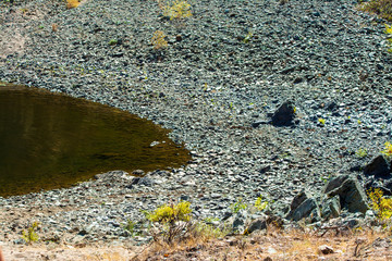 river during drought very low water .