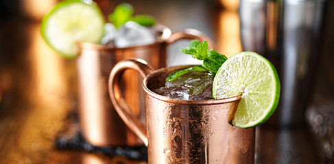two moscow mules in copper cup wih lime and mint garnish