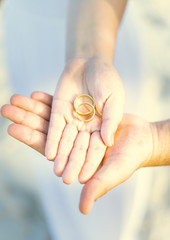 wedding rings in the hands of newlyweds