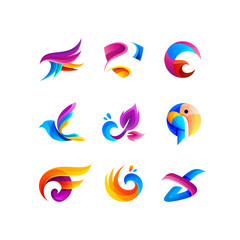 set colorful bird logo design template