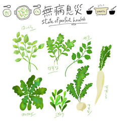 七草粥,粥,無病息災,おかゆ,七草がゆ,節句,ななくさがゆ