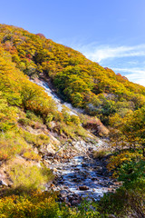 乳頭温泉郷　先達川