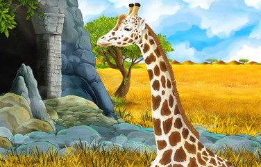 cartoon wildlife safari scene with lion and giraffe illustration for children