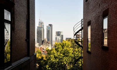 Fototapeta premium Trees and city skyline in the distance