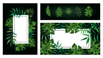 set of branches with branches and leafs tropicals