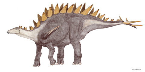 トウジャンゴサウルス　この恐竜は中国のジュラ紀後期の地層から発見された化石に名付けられた。全長は7メートル。ステゴサウルスの属する剣竜類の恐竜。頭骨は長めで平たく、首から尾までに左右に17対の骨板が確認されている。尾の先端には4本の棘が生えており、前かがみの姿勢から背後の敵に対して有効な武器となっていた。 © Mineo