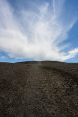 Looking up Sparse Hillside Trail