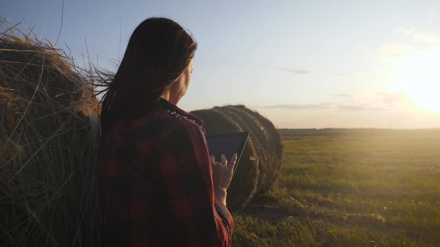 Girl farmer uses tablet in the field next to haystack at sunset. Smart farming, using modern technologies in agriculture.