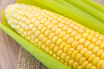 Brightly colored green corn on a wooden table