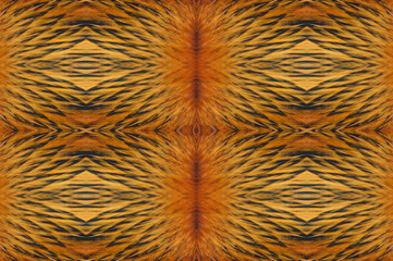 Seamless image of a chicken feather for making a beautiful background