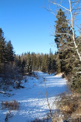 Fototapeta na wymiar Snowy Creek, Whitemud Park, Edmonton, Alberta