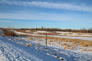 Snow In The Wetlands, Pylypow Wetlands, Edmonton, Alberta