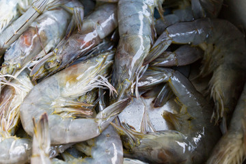 fresh seafood on ice