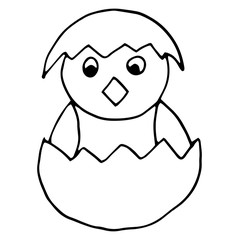 Chicken in the egg. Vector illustration of cartoon chicken in egg. Hand drawn chick.
